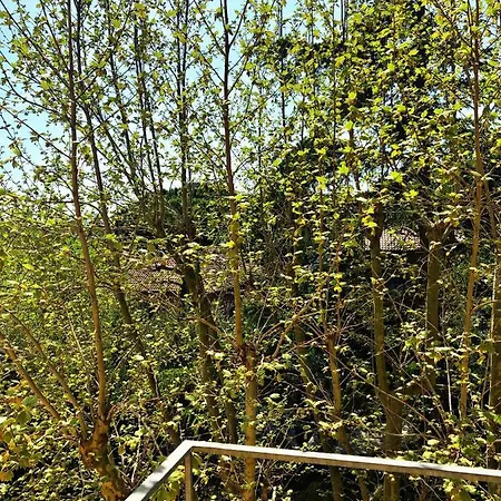 Otel Del Falco Cervia