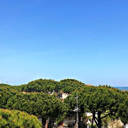 Del Falco