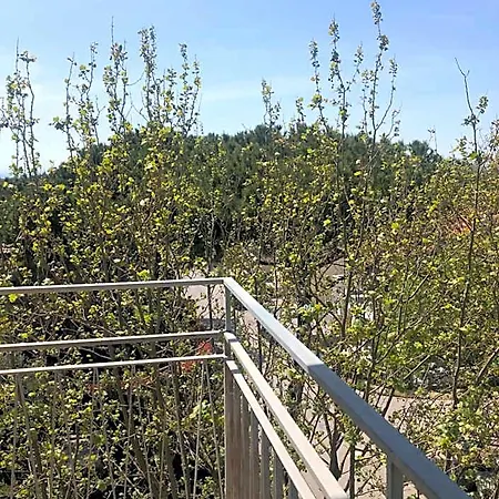 Hotel Del Falco Cervia
